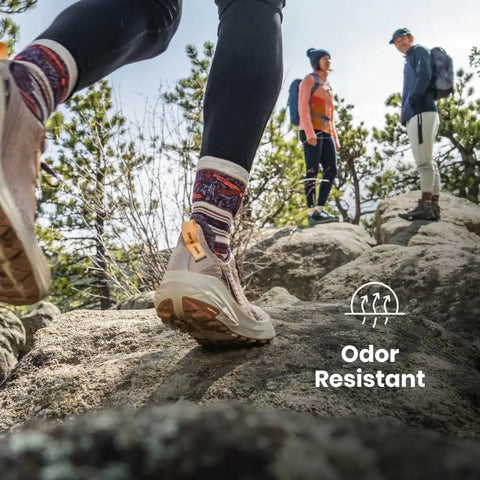 Smartwool Men's Run Targeted Cushion Ankle Socks